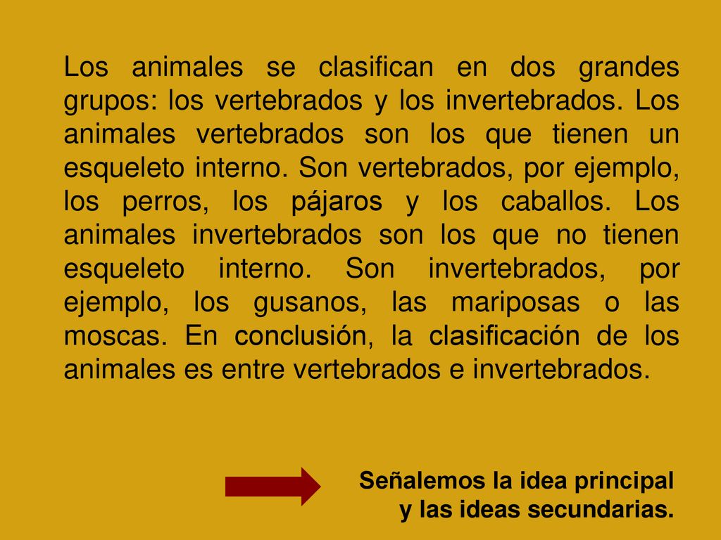 Los animales se clasifican en dos grandes grupos: los vertebrados y los invertebrados. Los animales vertebrados son los que tienen un esqueleto interno. Son vertebrados, por ejemplo, los perros, los pájaros y los caballos. Los animales invertebrados son los que no tienen esqueleto interno. Son invertebrados, por ejemplo, los gusanos, las mariposas o las moscas. En conclusión, la clasificación de los animales es entre vertebrados e invertebrados.