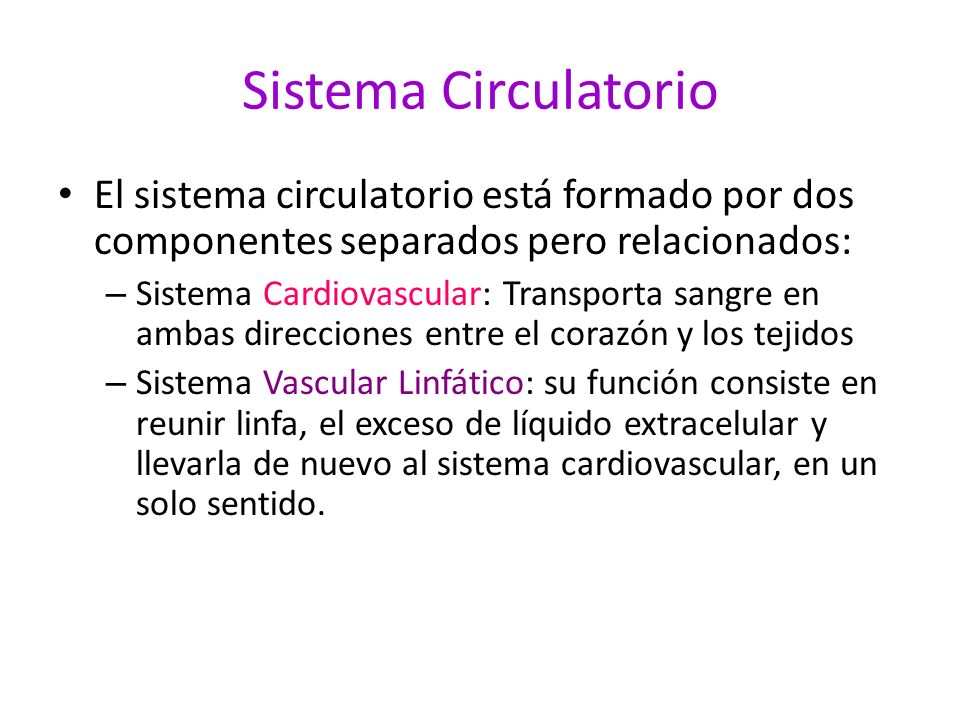 Sistema Circulatorio El sistema circulatorio está formado por dos componentes separados pero relacionados:
