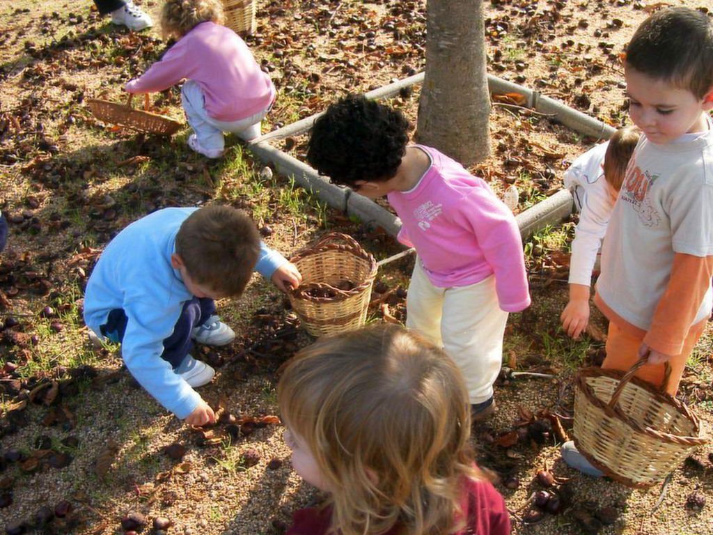 És fa un cilenci en el que podem escoltar petits soroll del trepitx dels peus i de les castanyes que van entran al cistell