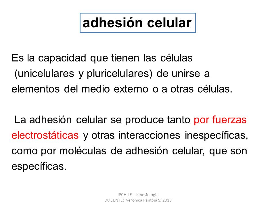 IPCHILE - Kinesiologia DOCENTE: Veronica Pantoja S. 2013