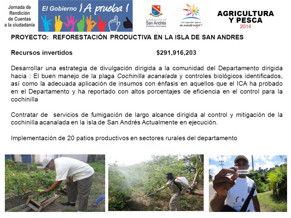 AGRICULTURA Y PESCA PROYECTO: REFORESTACIÒN PRODUCTIVA EN LA ISLA DE SAN ANDRES. Recursos invertidos $291,916,203.