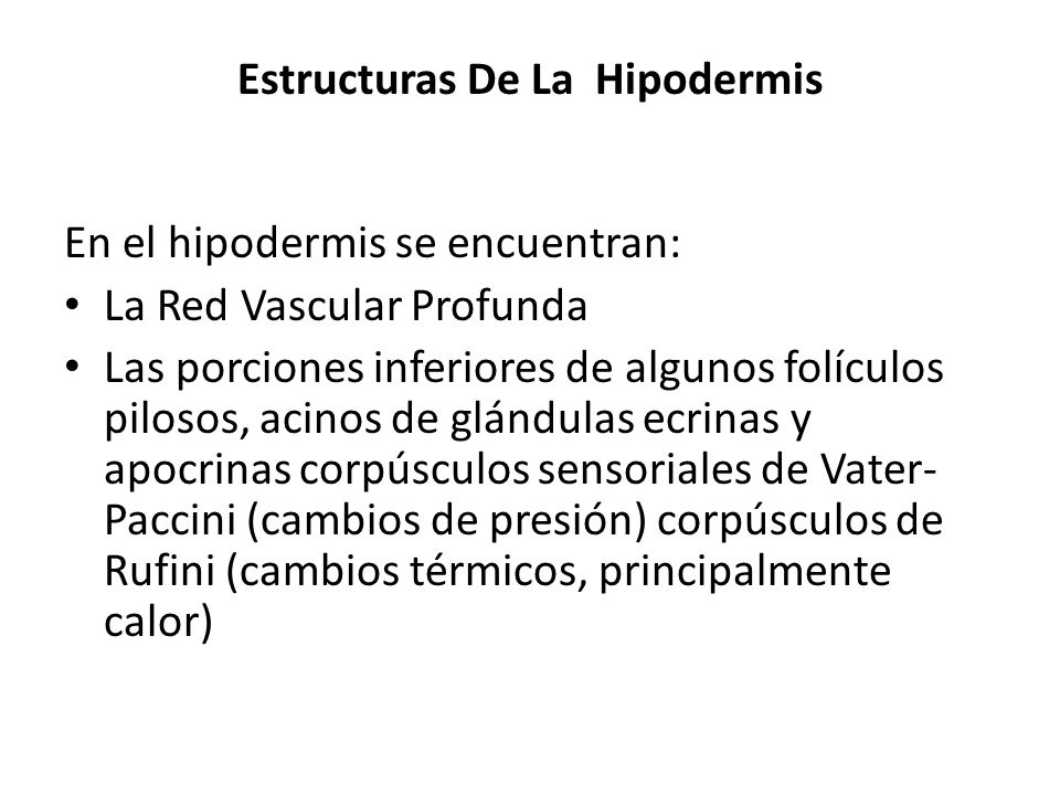 Estructuras De La Hipodermis