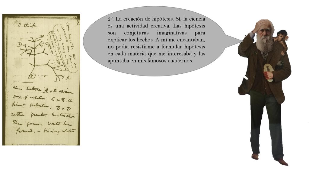 2º. La creación de hipótesis. Sí, la ciencia es una actividad creativa