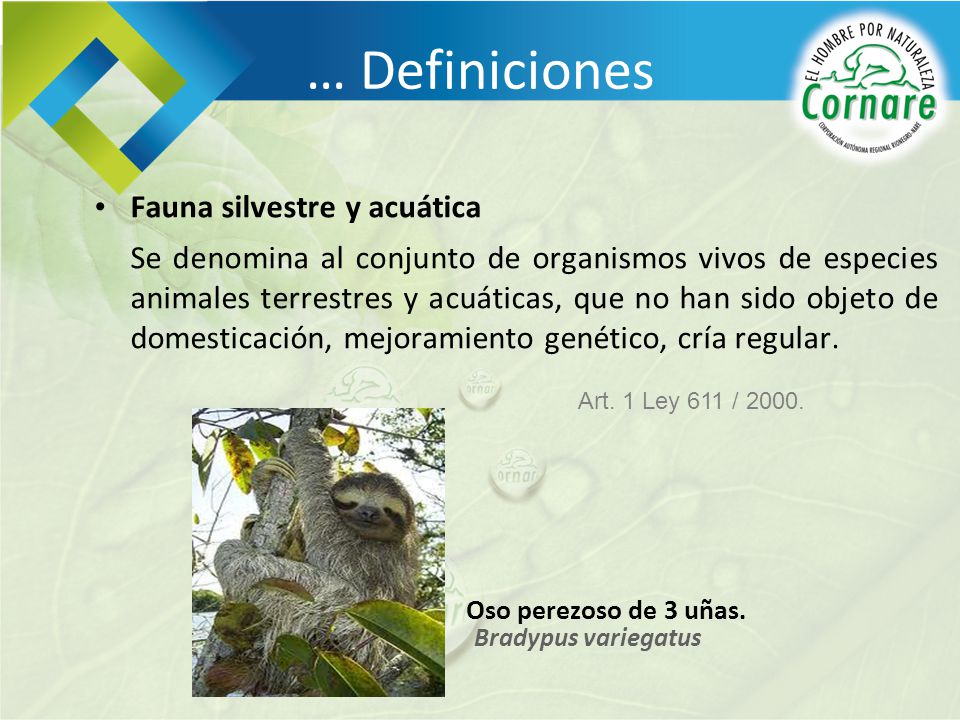 … Definiciones Fauna silvestre y acuática