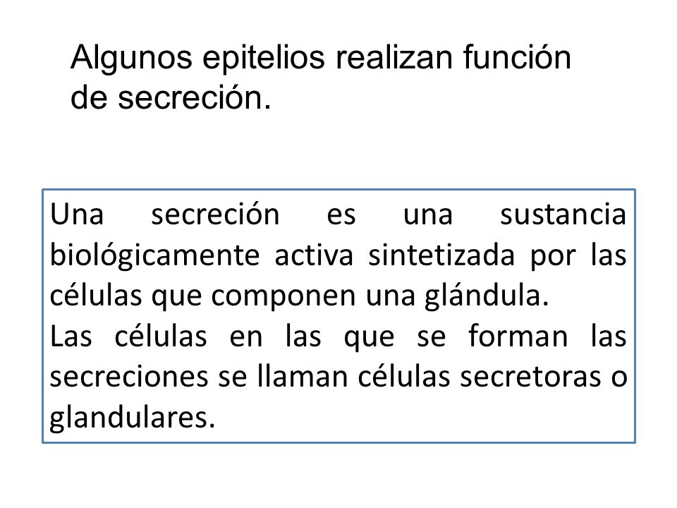 Algunos epitelios realizan función de secreción.