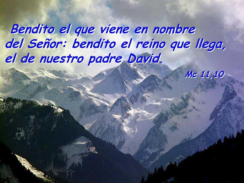Bendito el que viene en nombre del Señor: bendito el reino que llega, el de nuestro padre David.