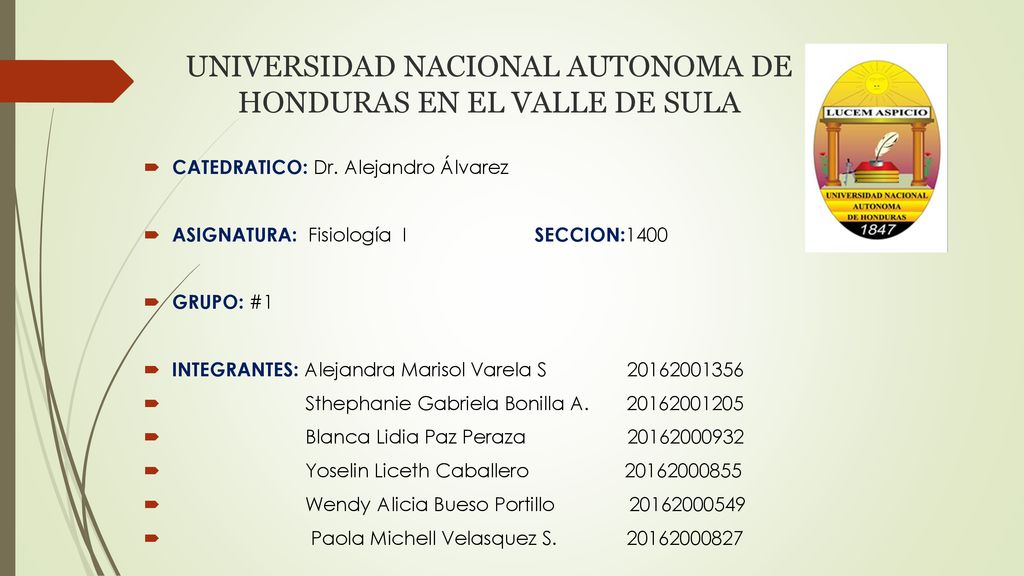 UNIVERSIDAD NACIONAL AUTONOMA DE HONDURAS EN EL VALLE DE SULA