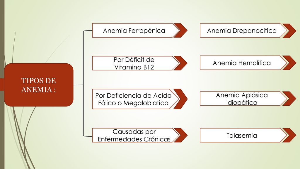TIPOS DE ANEMIA : Anemia Ferropénica Anemia Drepanocitica