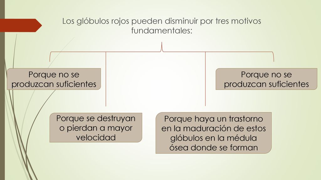 Los glóbulos rojos pueden disminuir por tres motivos fundamentales: