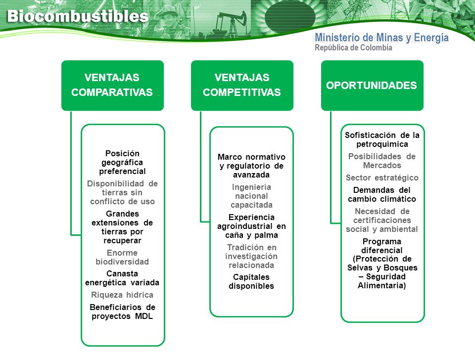 COMPARATIVAS VENTAJAS. Grandes extensiones de tierras por recuperar. Disponibilidad de tierras sin conflicto de uso.