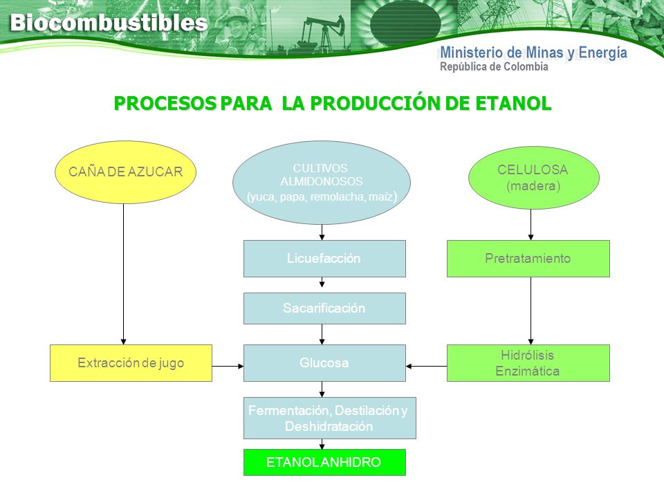 PROCESOS PARA LA PRODUCCIÓN DE ETANOL