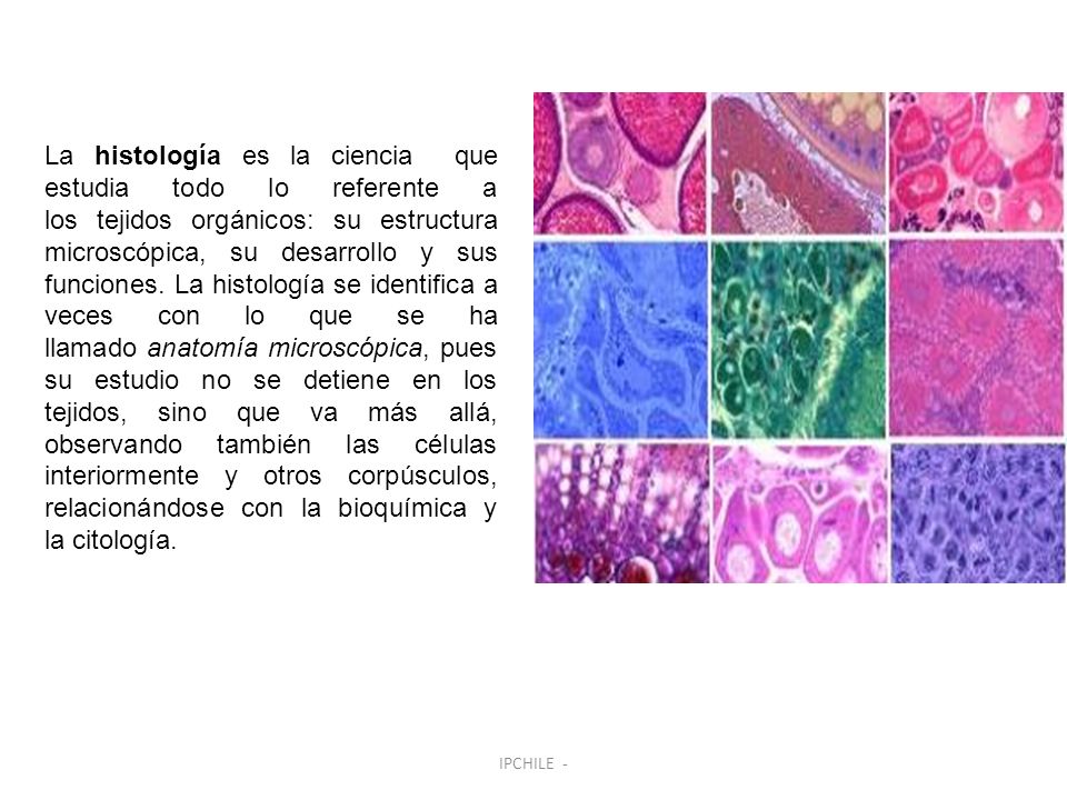 La histología es la ciencia que estudia todo lo referente a los tejidos orgánicos: su estructura microscópica, su desarrollo y sus funciones. La histología se identifica a veces con lo que se ha llamado anatomía microscópica, pues su estudio no se detiene en los tejidos, sino que va más allá, observando también las células interiormente y otros corpúsculos, relacionándose con la bioquímica y la citología.