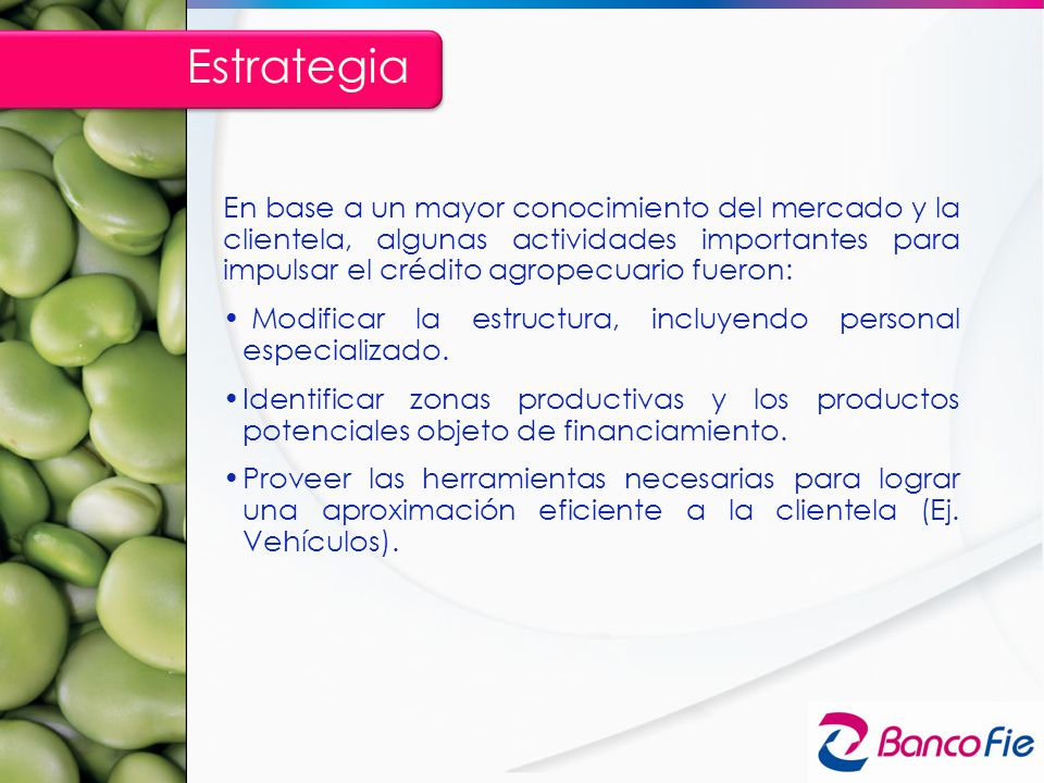 Estrategia En base a un mayor conocimiento del mercado y la clientela, algunas actividades importantes para impulsar el crédito agropecuario fueron: