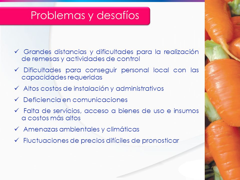 Problemas y desafíos Grandes distancias y dificultades para la realización de remesas y actividades de control.