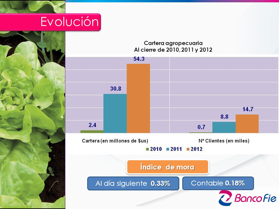 Evolución Índice de mora Al día siguiente 0.33% Contable 0.18%