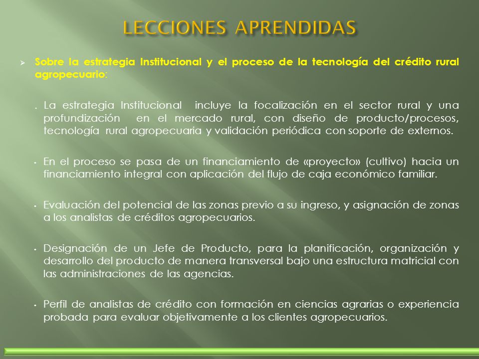 LECCIONES APRENDIDAS Sobre la estrategia Institucional y el proceso de la tecnología del crédito rural agropecuario: