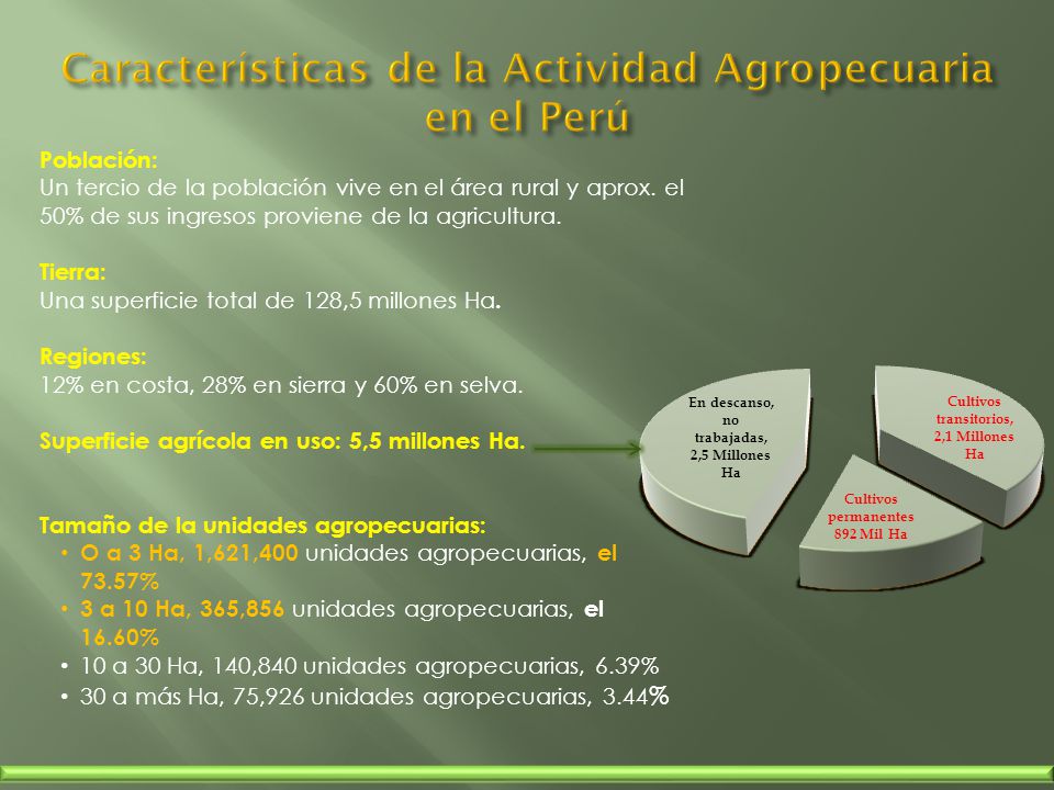 Características de la Actividad Agropecuaria en el Perú