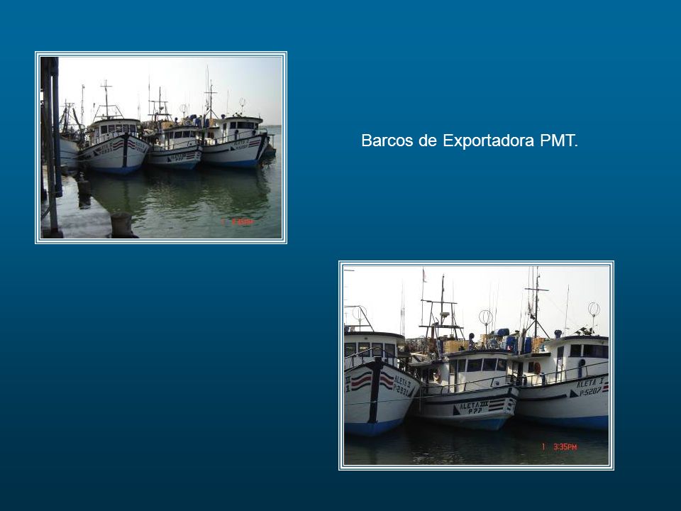 Barcos de Exportadora PMT.