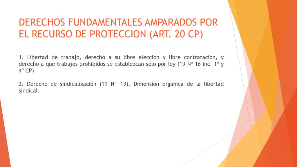 Derechos fundamentales amparados por el RECURSO DE PROTECCION (Art