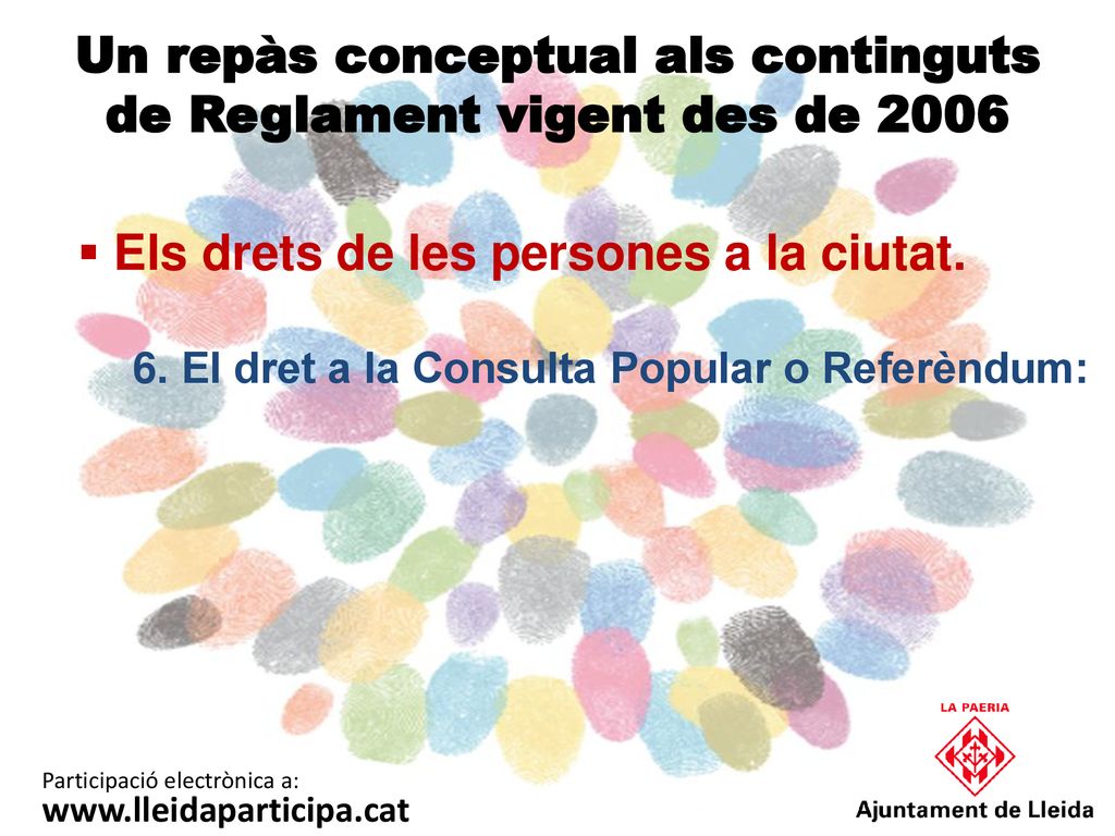 Un repàs conceptual als continguts de Reglament vigent des de 2006