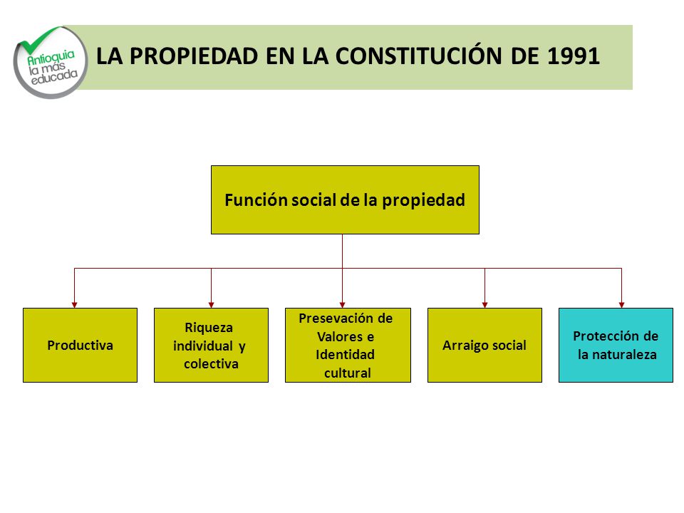 Función social de la propiedad