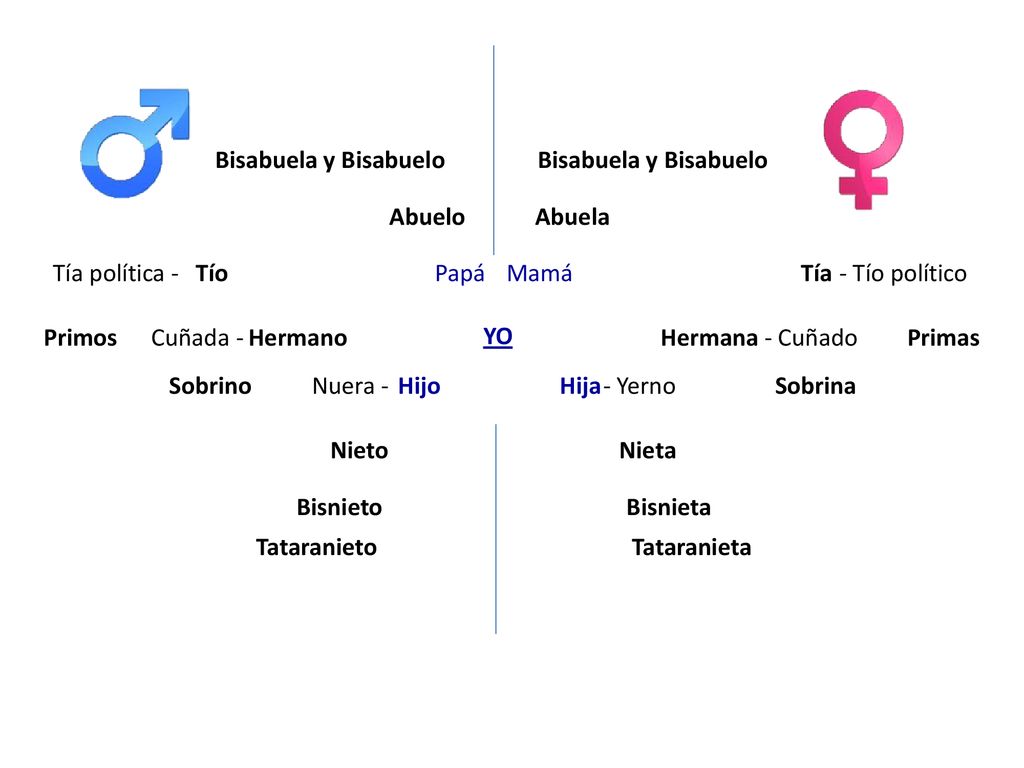 Bisabuela y Bisabuelo Bisabuela y Bisabuelo. Abuelo. Abuela. Tía política - Tío. Papá. Mamá. Tía.