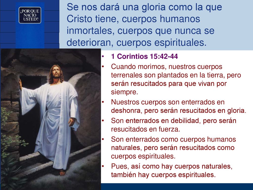 Se nos dará una gloria como la que Cristo tiene, cuerpos humanos inmortales, cuerpos que nunca se deterioran, cuerpos espirituales.