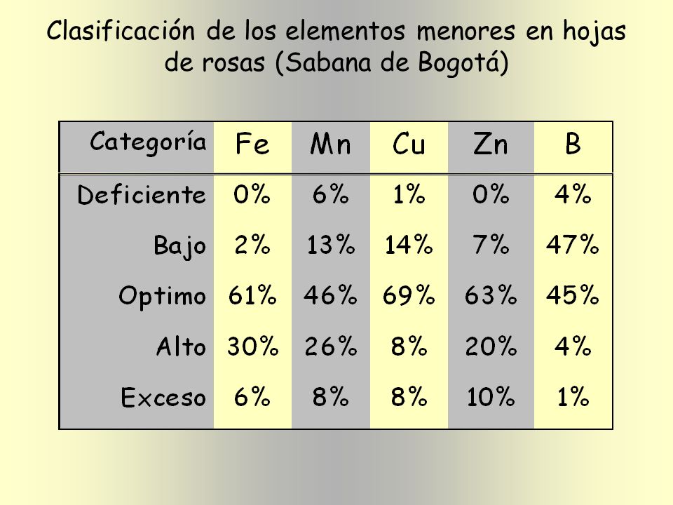 Clasificación de los elementos menores en hojas de rosas (Sabana de Bogotá)