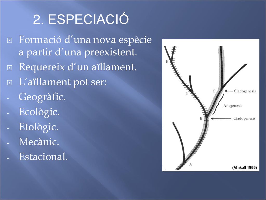 2. ESPECIACIÓ Formació d’una nova espècie a partir d’una preexistent.