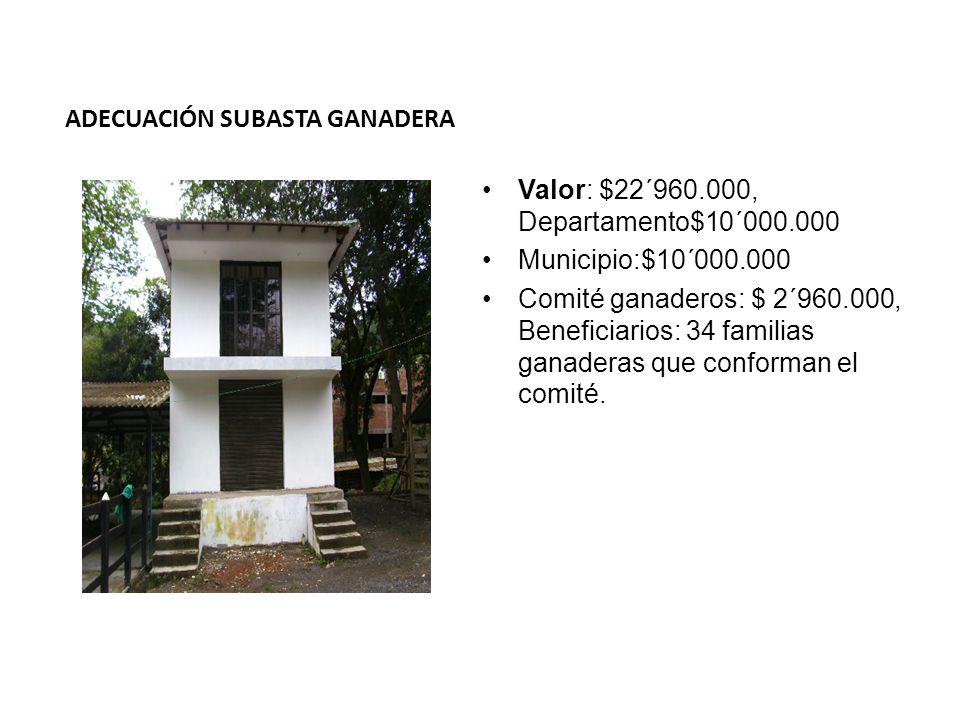 ADECUACIÓN SUBASTA GANADERA