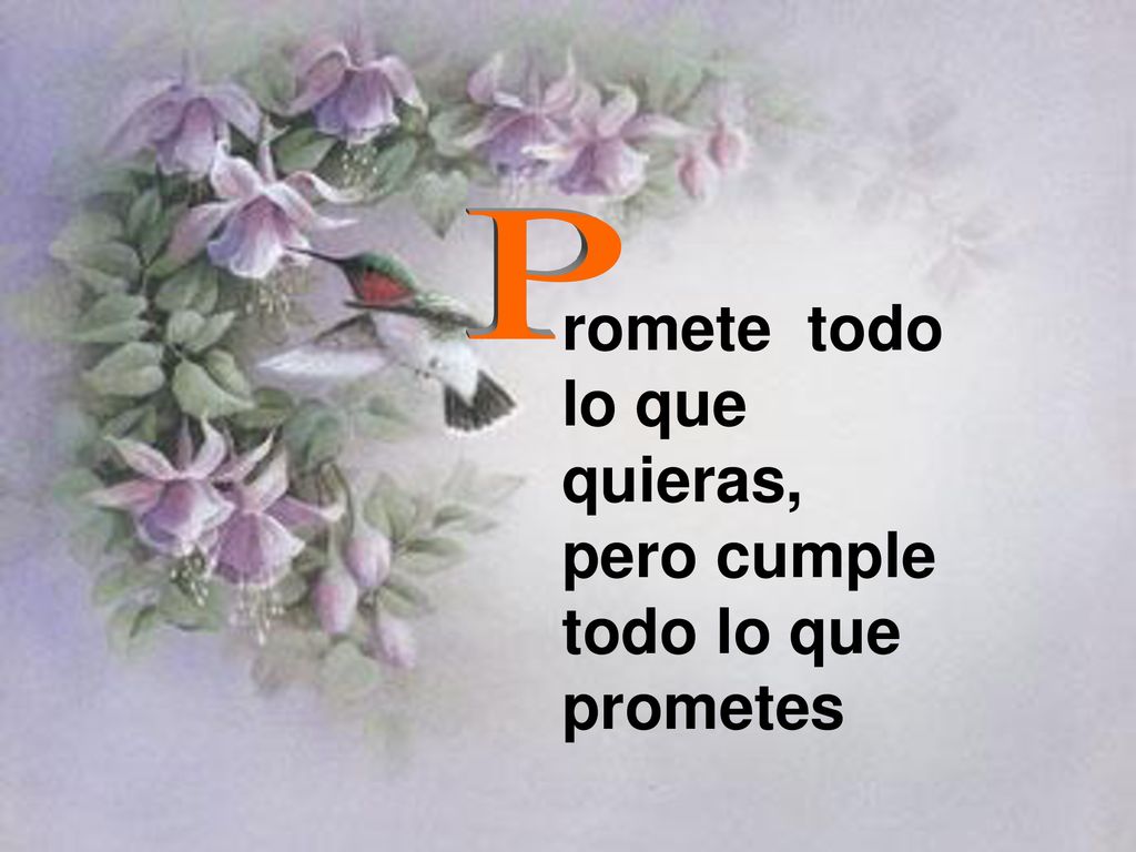romete todo lo que quieras, pero cumple todo lo que prometes
