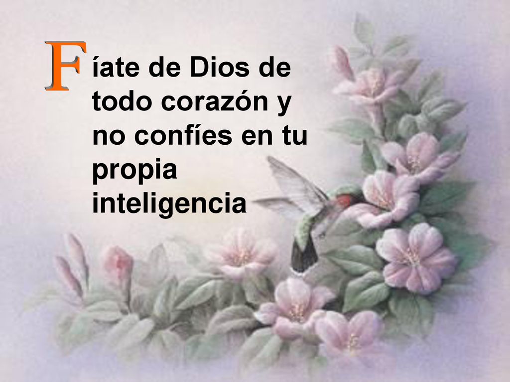 íate de Dios de todo corazón y no confíes en tu propia inteligencia
