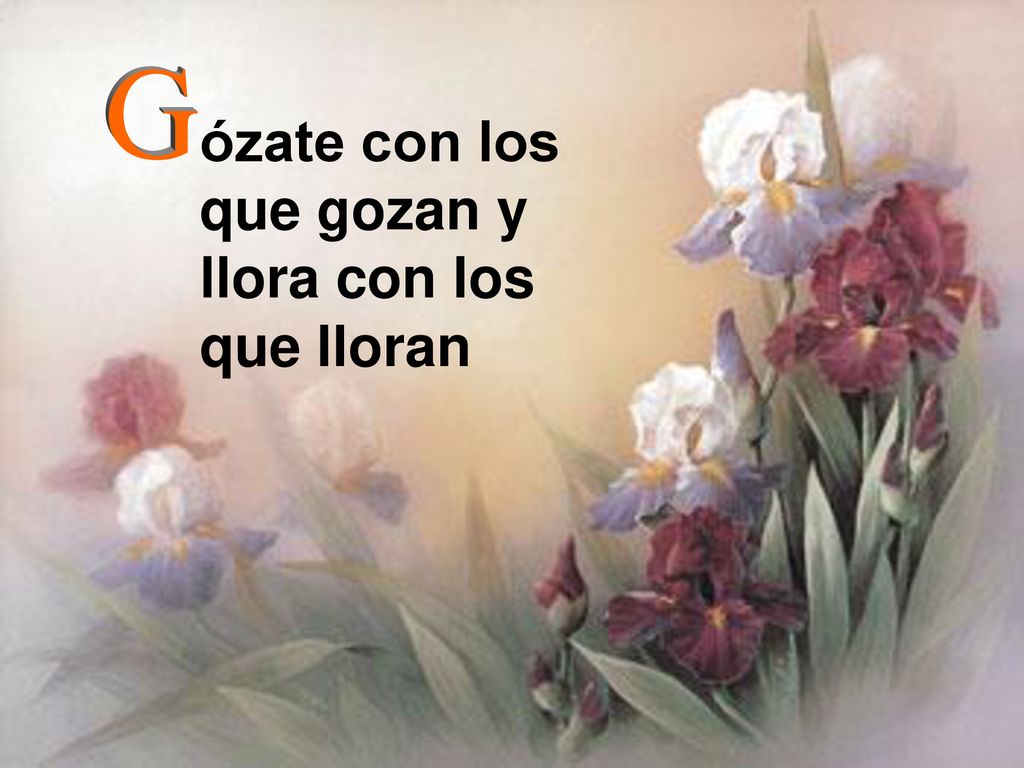 ózate con los que gozan y llora con los que lloran