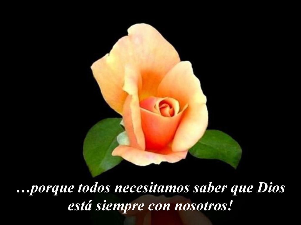 …porque todos necesitamos saber que Dios está siempre con nosotros!