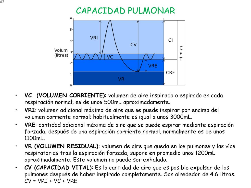 CAPACIDAD PULMONAR VC (VOLUMEN CORRIENTE): volumen de aire inspirado o espirado en cada respiración normal; es de unos 500mL aproximadamente.
