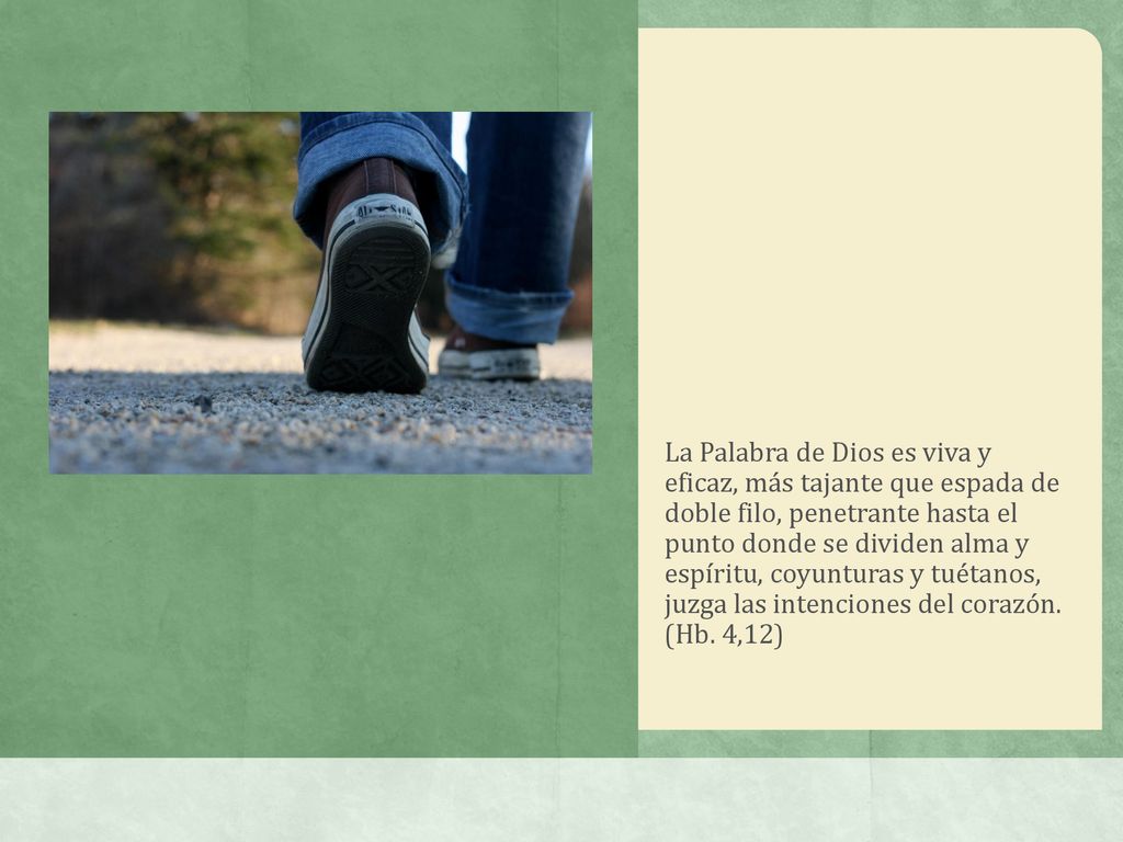 La Palabra de Dios es viva y eficaz, más tajante que espada de doble filo, penetrante hasta el punto donde se dividen alma y espíritu, coyunturas y tuétanos, juzga las intenciones del corazón.