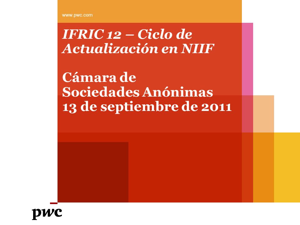 IFRIC 12 – Ciclo de Actualización en NIIF Cámara de Sociedades Anónimas 13 de septiembre de