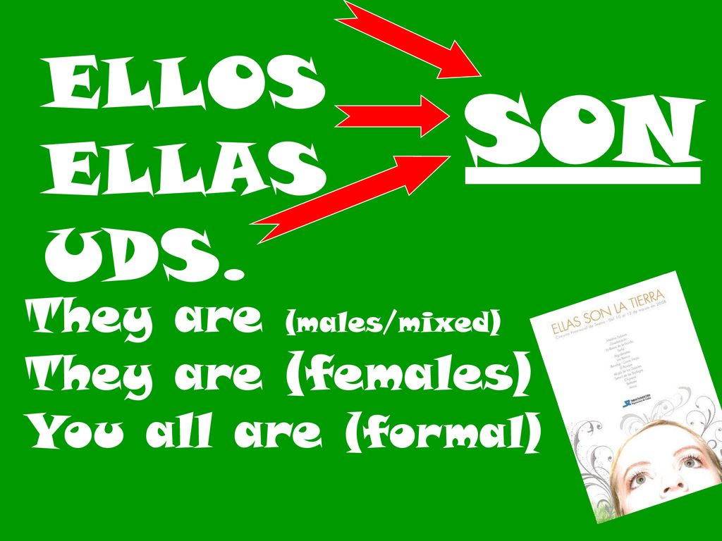 SON ELLOS ELLAS UDS. They are (males/mixed) They are (females)