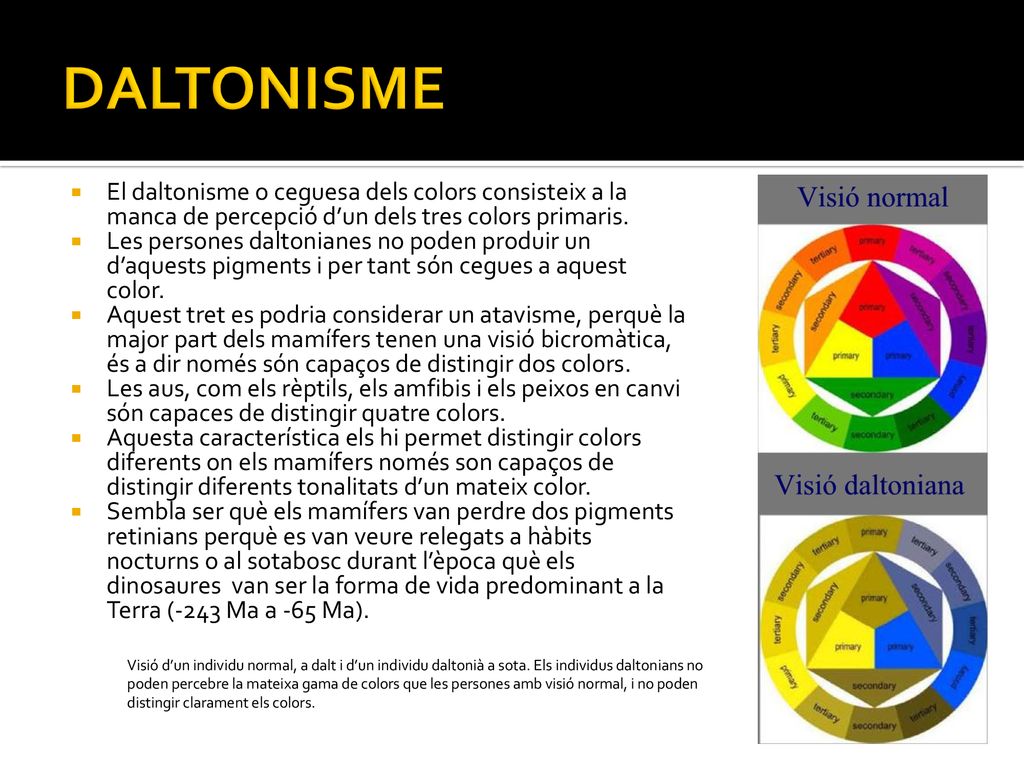 DALTONISME El daltonisme o ceguesa dels colors consisteix a la manca de percepció d’un dels tres colors primaris.