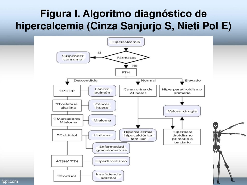 Figura I. Algoritmo diagnóstico de hipercalcemia (Cinza Sanjurjo S, Nieti Pol E)
