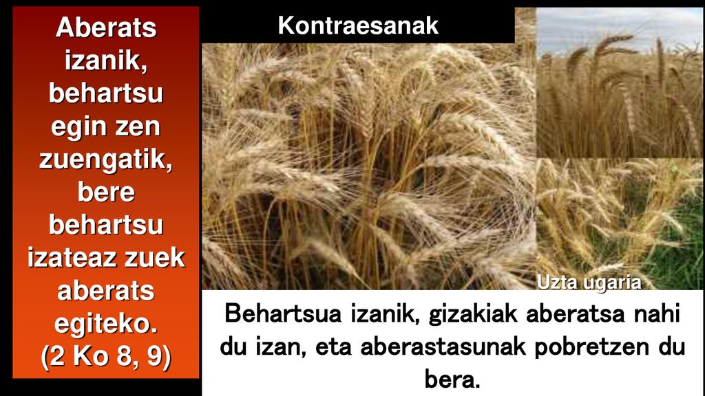 Aberats izanik, behartsu egin zen zuengatik, bere behartsu izateaz zuek aberats egiteko.