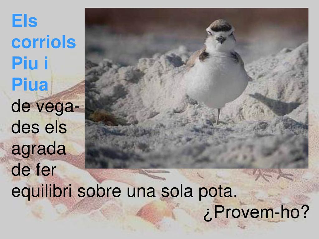 Els corriols. Piu i. Piua. de vega- des els.