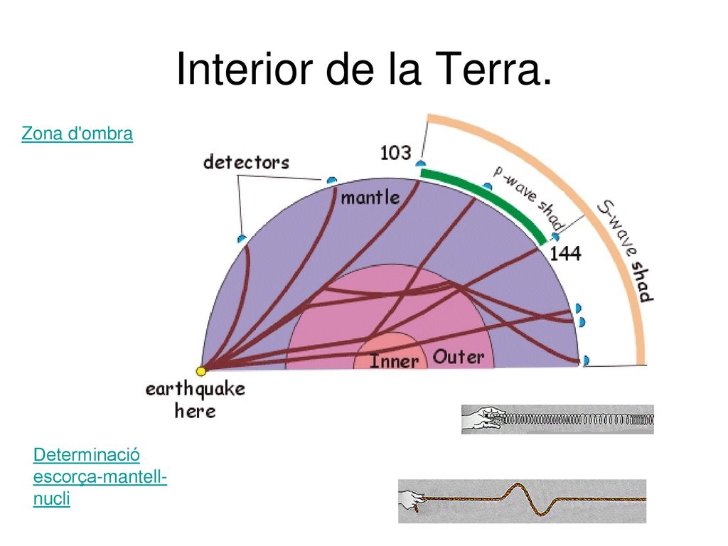 Interior de la Terra. Zona d ombra Determinació escorça-mantell-nucli