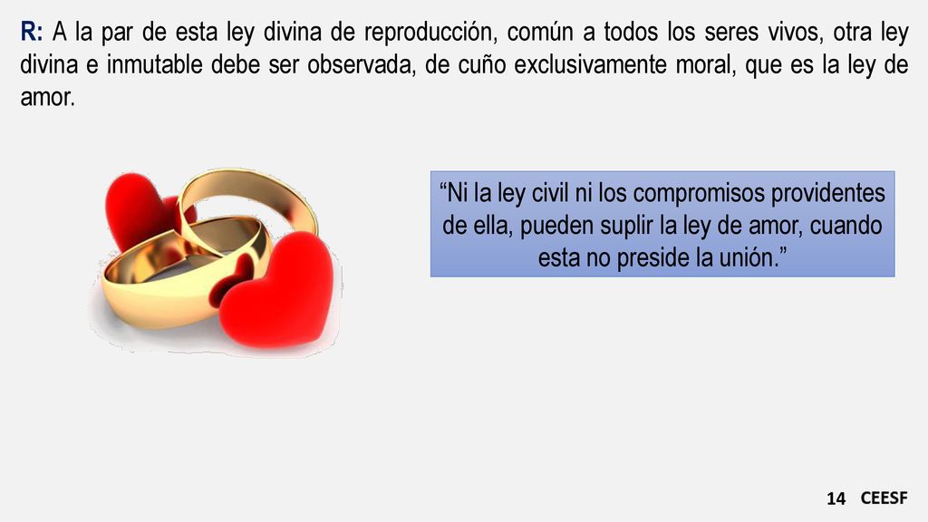 R: A la par de esta ley divina de reproducción, común a todos los seres vivos, otra ley divina e inmutable debe ser observada, de cuño exclusivamente moral, que es la ley de amor.