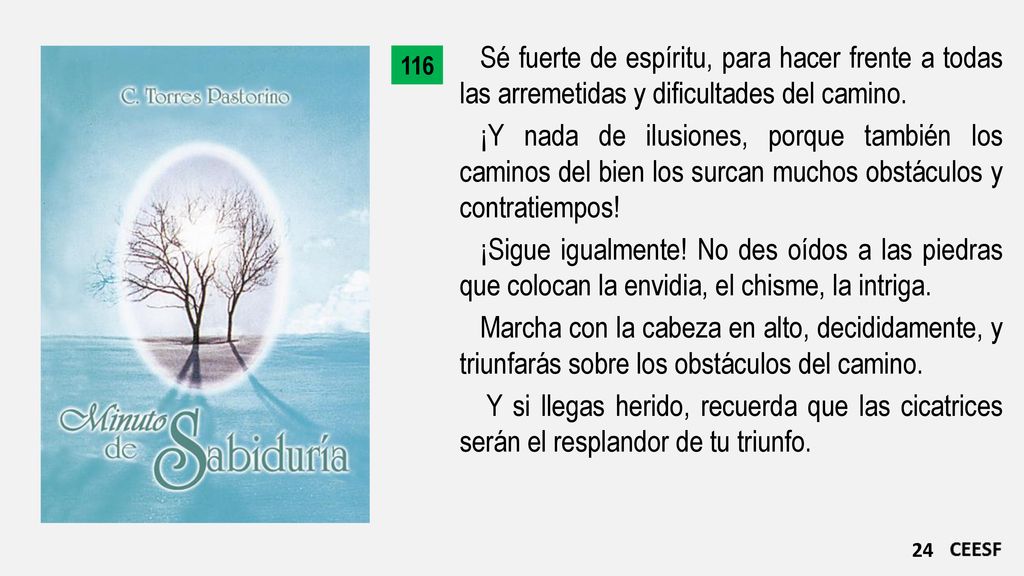 Sé fuerte de espíritu, para hacer frente a todas las arremetidas y dificultades del camino.