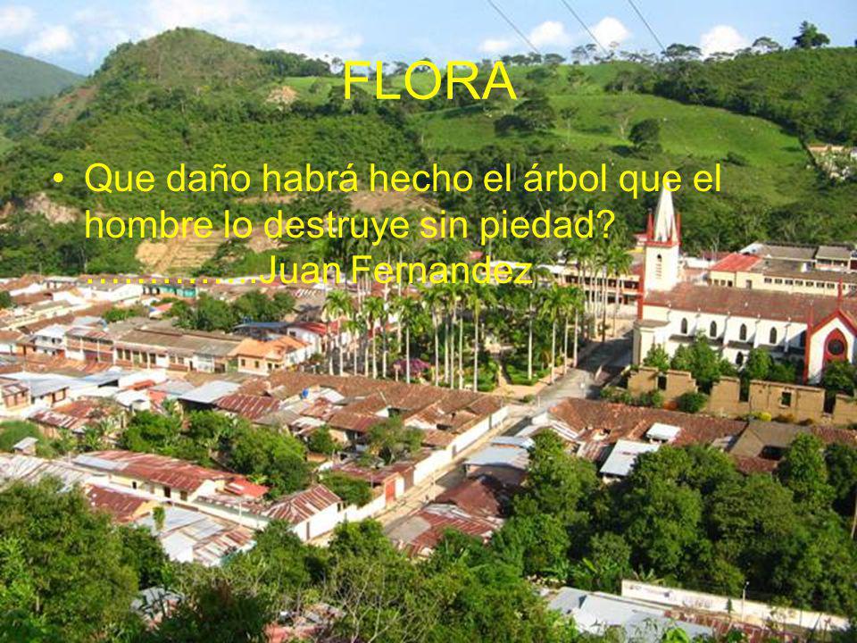 FLORA Que daño habrá hecho el árbol que el hombre lo destruye sin piedad …………..Juan Fernandez