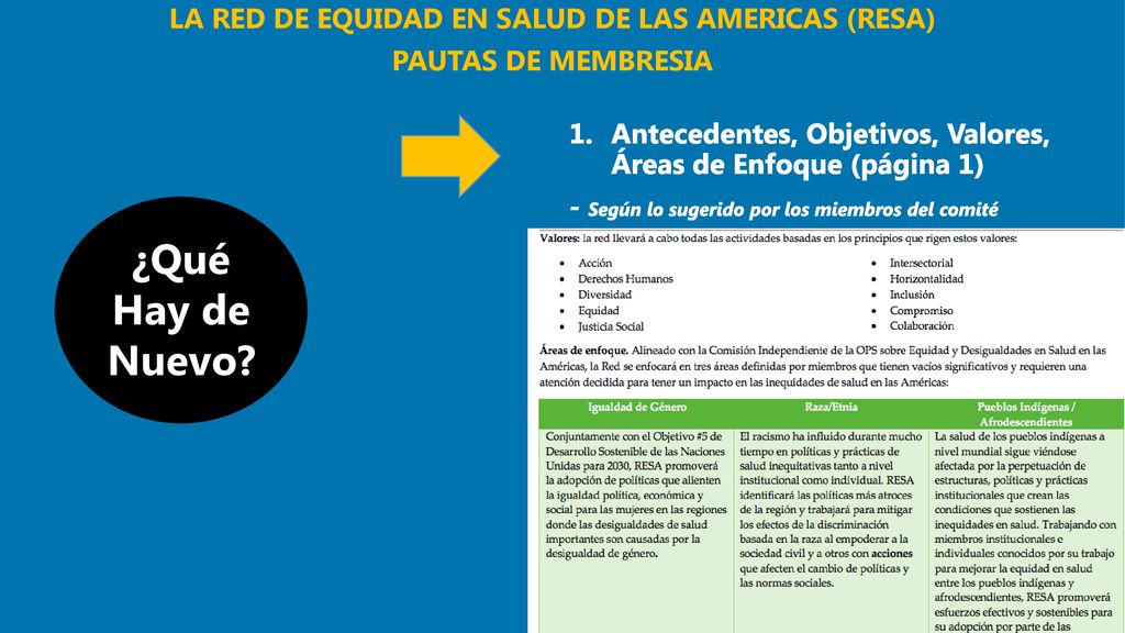 LA RED DE EQUIDAD EN SALUD DE LAS AMERICAS (RESA)