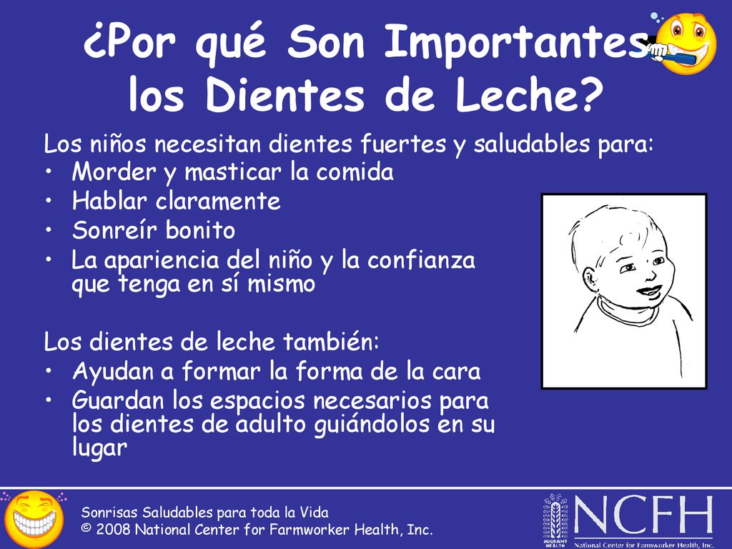 ¿Por qué Son Importantes los Dientes de Leche