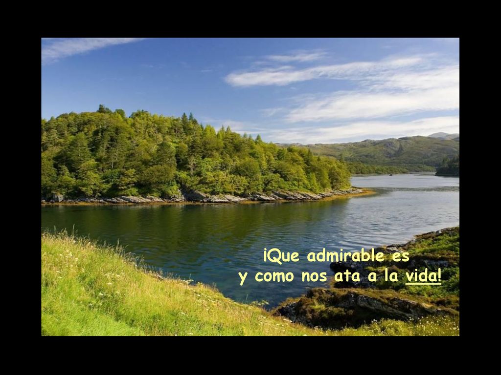 ¡Que admirable es y como nos ata a la vida!
