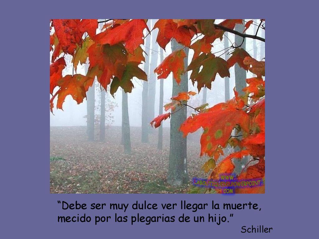 Debe ser muy dulce ver llegar la muerte, mecido por las plegarias de un hijo.